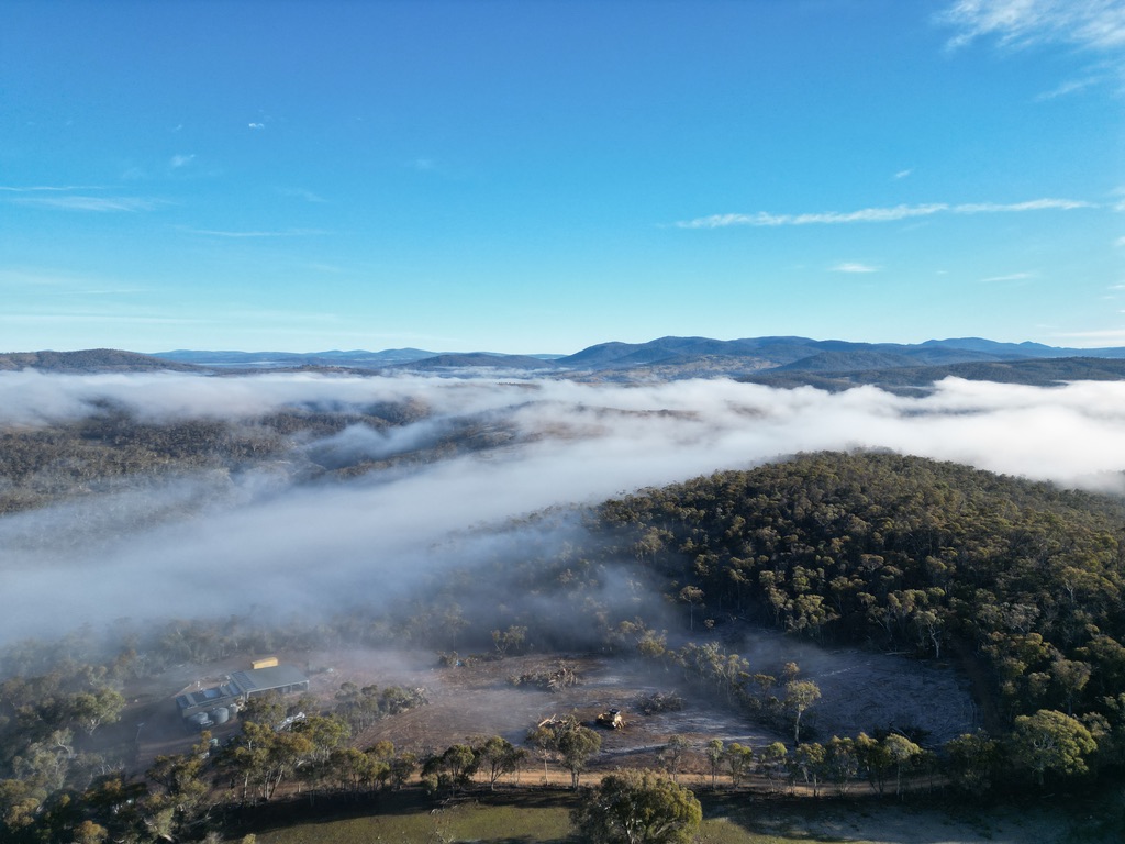 Morning fog settling over the valley below Gracelands, with the Snowy Mountains rising above the cloud line.