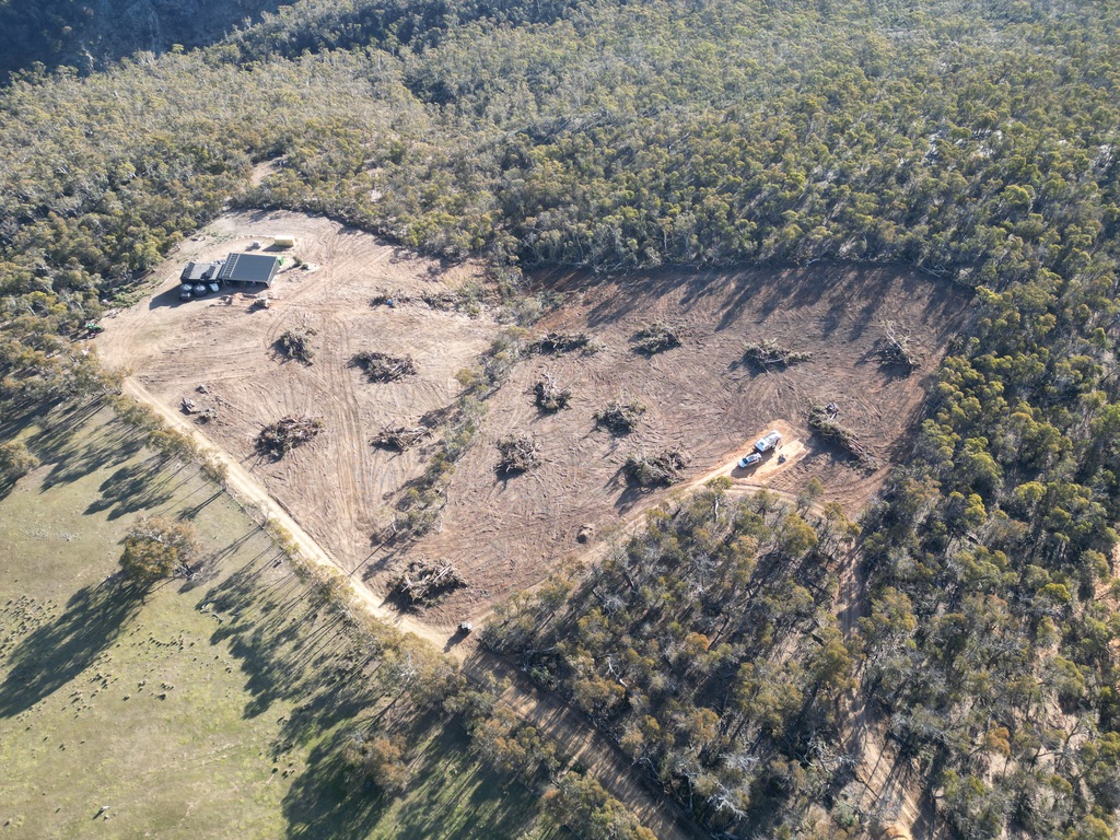 Land clearing underway at Gracelands, with the new shed visible in the cleared paddock.